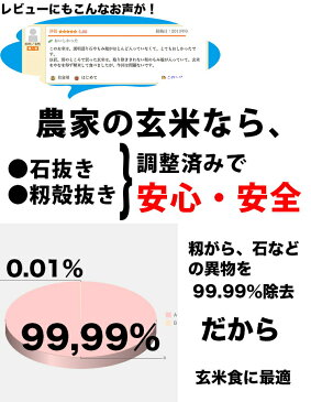 米 10kg 玄米食 調整済 2年産 農家の食べているおいしい玄米10kg オリジナル【米10kg】
