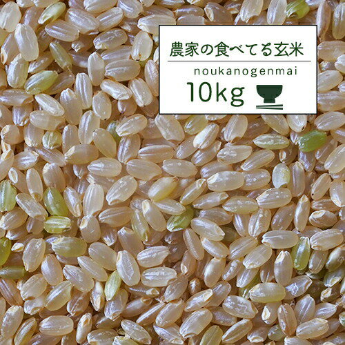 米 玄米食 調整済 5年産 農家の食べているおいしい玄米10kg （5kg×2袋 小分け）オリジナル【米10kg】