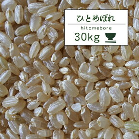 米 30kg 岩手県産 5年産 ひとめぼれ 玄米30kg 【米30キロ】岩手ひとめ