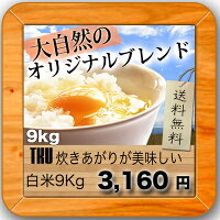 モチさぱ 噂のTKU炊き上がりがうまいお米白米27kg(9kg×3袋)