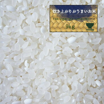 米 10kg 送料無料 お米 精米 もち米入 オリジナル 噂のTKU 【炊き上がりがうまいお米 白米9kg】 モチさぱ