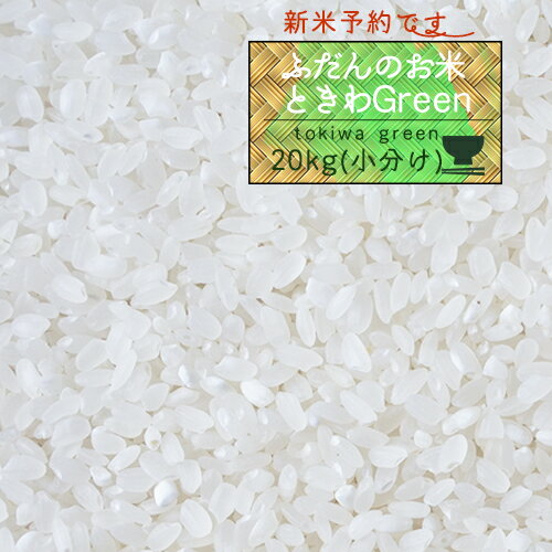 ＜新米予約＞ 米 新米 2年産 青森県産 ときわGreen 白米20kg（5kg×4...