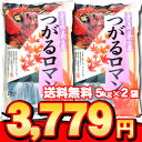 注目のお米!≪5kg×2≫【22年・23年 選べる年産】青森県産つがるロマン 白米 10kg 【数量限定】【送料無料】【東北復興_青森県】【RCPdec18】