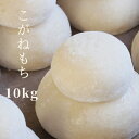 米 もち米 餅 糯米 5年産 秋田県産 こがねもち 白米10kg（5kg×2）