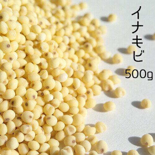 国産 【イナキビ 500g】雑穀 クリックポスト便送料無料
