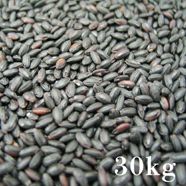 国産 【黒米 30kg】雑穀 4年産 古代米 紫黒米 雑穀米 送料無料 黒米30キロ 業務用 大容量