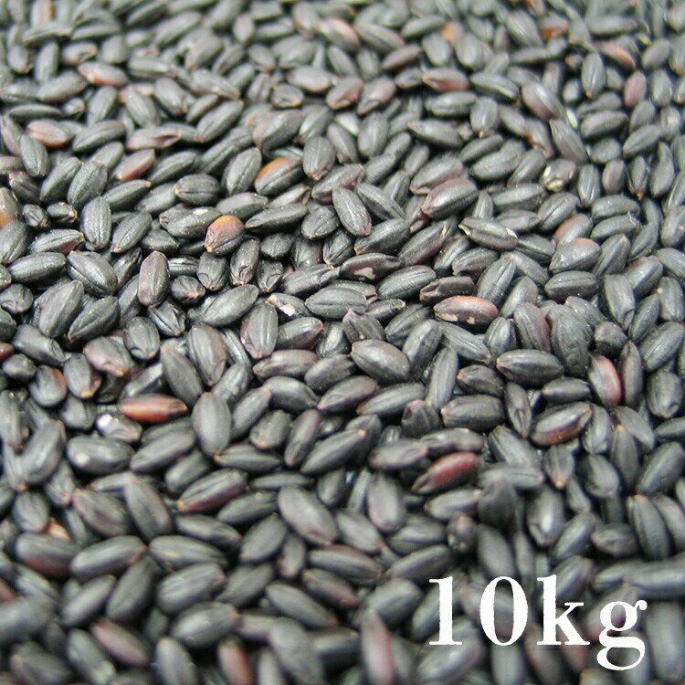 黒米の紫色はポリフェノールの一種であるアントシアニンで、肝機能や視力増強・造血作用等に効果があると言われています。もっちりとした食感で、ビタミン、ミネラルなどの栄養分も多く含まれています。 [名称]：黒米 [産地]：国産 [原材料]：黒米　未検査米(国内産10割) [内容量]：10g(5kg×2) [調整時期] ：別途商品ラベルに記載 ■配送・送料について ゆうパック全国送料無料 ■保管期間の目安 2週間〜1ヶ月以内にお召し上がり下さい ※時期や保存方法によって保管期間の目安は異なります ■保存方法 高温多湿、直射日光を避け涼しい所に保管してください。 ※開封・未開封に関わらず品質保証は商品到着後2週間以内となります。黒米の紫色はポリフェノールの一種であるアントシアニンで、肝機能や視力増強・造血作用等に効果があると言われています。もっちりとした食感で、ビタミン、ミネラルなどの栄養分も多く含まれています。 [名称]：黒米 [産地]：国産 [原材料]：黒米　未検査米(国内産10割) [内容量]：10g(5kg×2) [調整時期] ：別途商品ラベルに記載 ■配送・送料について ゆうパック全国送料無料 ■保管期間の目安 2週間〜1ヶ月以内にお召し上がり下さい ※時期や保存方法によって保管期間の目安は異なります ■保存方法 高温多湿、直射日光を避け涼しい所に保管してください。 ※開封・未開封に関わらず品質保証は商品到着後2週間以内となります。