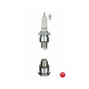 【30日限定クーポン配布】NGK エヌジーケーB8HS B8HS(2148739)