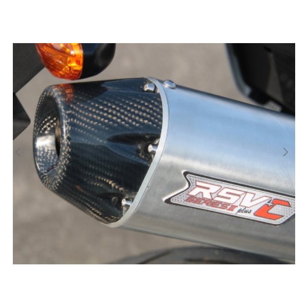 【20日は24時間限定クーポン配布！】ROUGH&ROAD ラフアンドロードRSV S3プラスCサイレンサー TT250R/Raid RSV1202C(2491621)代引不可 送料無料