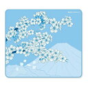 【15日限定クーポン配布】X-raypad エックスレイパッドAqua Control II-Sakura-Blue-XL 450x400 XR-AQUA-CON2-SAKURA-BLXL(2583709)代引不可 送料無料