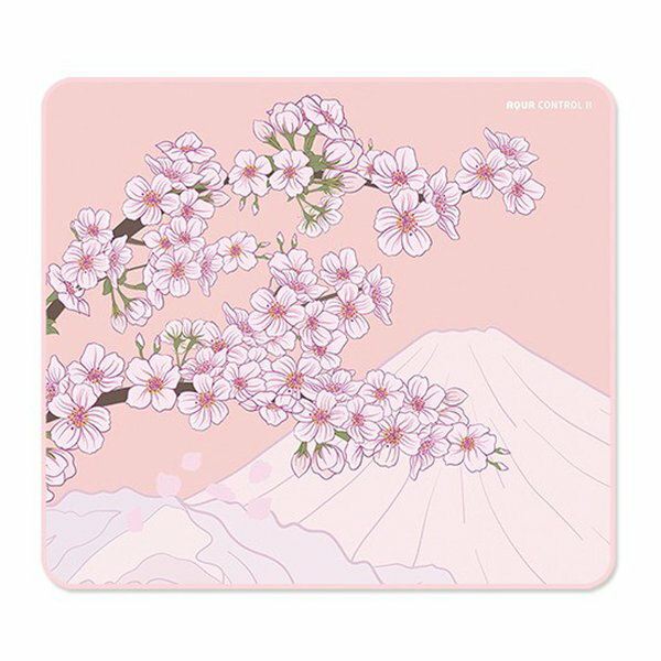 【25日は24時間限定クーポン配布】X-raypad エックスレイパッドAqua Control I