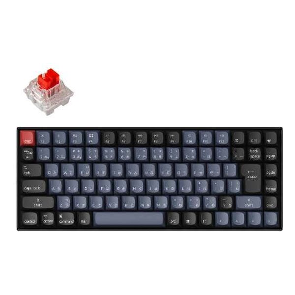 楽天市場】keychron k2 英語の通販 楽天市場】keychron k2 英語の通販