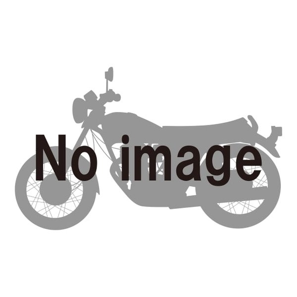 【15日は24時間限定クーポン配布！】DAYTONA デイトナフェンダーレスEDGE Ninja250/400 18-22 LEDライセンスランプ&リフレクター付属 25796(2521888)代引不可 送料無料
