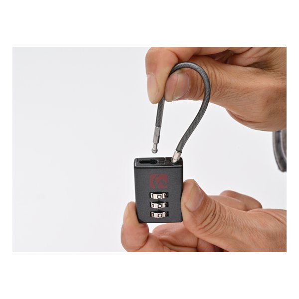 ��20����24���ָ��ꥯ���ݥ����ۡ�Henly Begins �إ�꡼�ӥ��󥺥���ѥ��ȥ��������å� ���ȥ졼�ȥ����� DLK010 100mm ����᥿ 43729(2610746)����Բ�