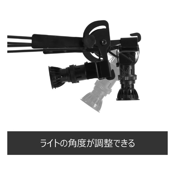 【20日は24時間限定クーポン配布】BLITZ...の紹介画像3