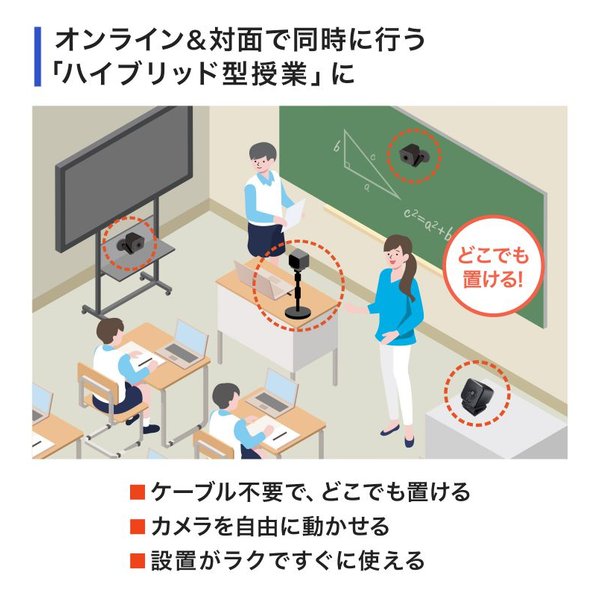 ��20����24���ָ��ꥯ���ݥ����ۡ�SANWA SUPPLY ����掠�ץ饤�磻��쥹����WEB����� CMS-V69BK(2663588)����Բ� ����̵��