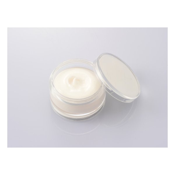 【25日は24時間限定クーポン配布】DAYTONA デイトナケミカル剤 グリスさん シリコングリス D67631(2182..