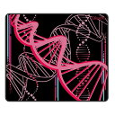 【スーパーSALE要エントリーで最大300%ポイントバック】X-raypad エックスレイパッドMinerva DNA Pink Black - XL 490x...