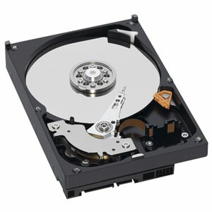 2024ָꥯݥۡWestern Digital ǥ¢HDD 3.5 WD10EZEX 1TB ...