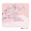 【5日は24時間限定クーポン配布&ポイントアップ】X-raypad エックスレイパッドAqua Control II-Sakura-Pink-XLS 500x500x4mm XR-AQUA-CON2-SKR-PK-XLS(2583731)代引不可 送料無料(2)