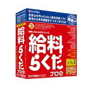 給与・賞与明細作成に加えて、年末調整も対応。月給・日給・時給などの様々な給与計算に対応。年末調整や源泉徴収票・源泉徴収簿の作成に対応。各種の法改正・制度改定等も安心対応。「Web給金帳クラウド」との連携可能。支給明細のモバイル確認を実現。社労士が作った給与ソフト。1年間の「無償保守サービス」付き。■動作環境：(運用に必要なシステム要件)■対応OS：Windows 11 / Windows 10 (Home/Pro) （最新の対応状況については メーカーウェブサイト をご確認ください。）■インターネット環境：インターネットに接続できる環境が必要（本製品を使用するコンピューターが直接インターネットに接続している必要があります。）