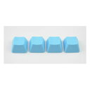 Tai-Hao ^CnIBlank Rubber Gaming Keycaps-4 Keys 1u Neon Blue R1 RUBBERKCBKNNBLR1(2548102)s