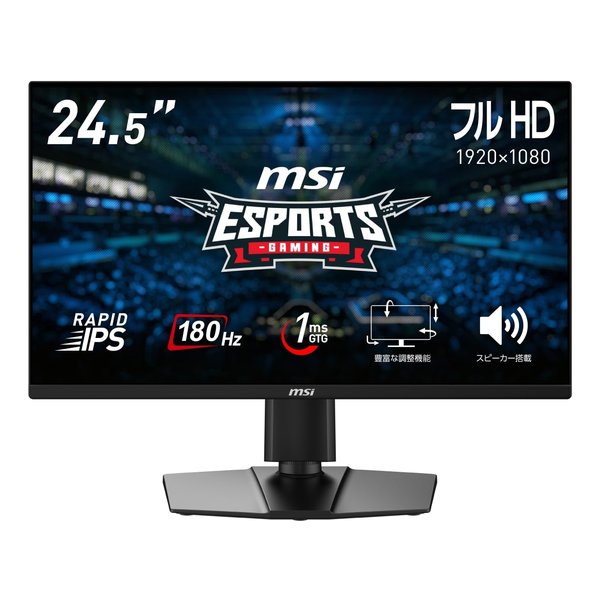 【20日は24時間限定クーポン配布】MSI エムエスアイG255PF E2 G255PF-E2(2590883)代引不可 送料無料
