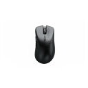 【30日限定クーポン配布】Glorious PC Gaming Race グロリアス ピーシー ゲーミGlorious Model D 2 PRO ワイヤレスポ...