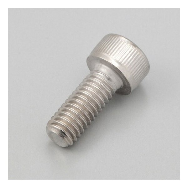 2524ָꥯݥۡDAYTONA ǥȥϻѷեܥȡm6x15 32784(2108688)Բ