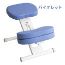 【スーパーSALE要エントリーで最大300%ポイントバック】宮武製作所 ミヤタケセイサクジョプロポーションチェアキッズ ホワイト脚/バイオレット CH-N889...