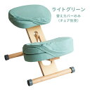 【スーパーSALE要エントリーで最大300%ポイントバック】宮武製作所 ミヤタケセイサクジョプロポーションチェア 替えカバー 3枚セット/ライトグリーン CV-...
