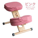 【スーパーSALE要エントリーで最大300%ポイントバック】宮武製作所 ミヤタケセイサクジョプロポーションチェア 替えカバー 3枚セット/ピンク CV-9K/P...