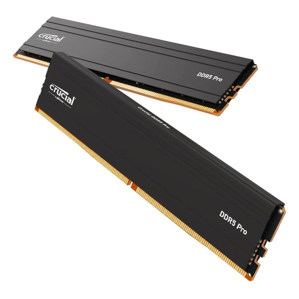 1824ָꥯݥۡcrucial 롼륯롼 ǥȥåPC  Pro DDR5-5600 UD...
