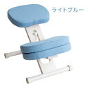 【スーパーSALE要エントリーで最大300%ポイントバック】宮武製作所 ミヤタケセイサクジョプロポーションチェアキッズ ホワイト脚/ライトブルー CH-N889...