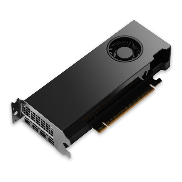 ELSA エルザNVIDIA RTX PRO 2000 Blackwell LP 16GB ENQRP2000B-16GER