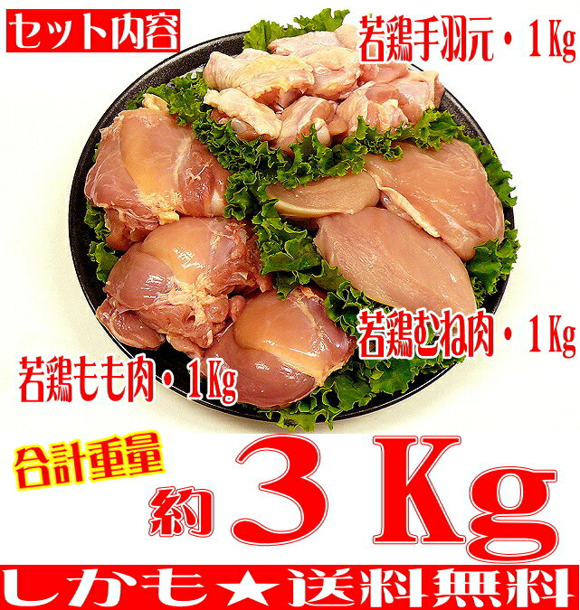 【いい肉屋】九州産▲若鶏三昧お試しセット[合計約3Kg]福袋【送料無料】