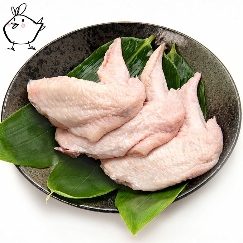 【 鶏肉 】 紀州うめどり 手羽先 （300g） | 鶏肉 手羽先 鳥肉 和歌山県 紀州 うめどり 梅酢 唐揚げ からあげ 塩焼き 冷蔵 (和歌山県産) ＼ 冷凍じゃない、産地直送！新鮮な鶏肉をご自宅に ／