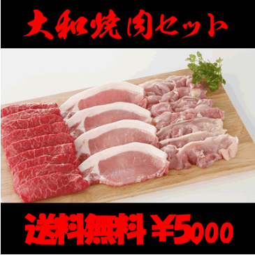 【奈良県産】大和焼肉セット【RCP】