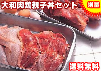 【送料無料】増量！どっちの料理ショー親子丼セット