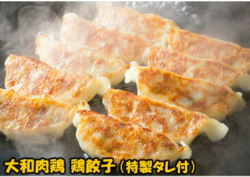 大和肉鶏餃子