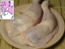 【鶏肉】紀州うめどり骨付きもも肉(4)