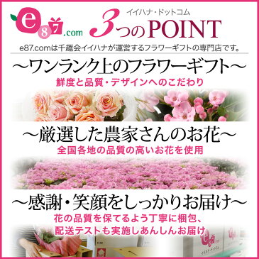 【観葉植物】「フィカス・アルテシマ」6号 観葉 インテリア グリーン 鉢植え 誕生日プレゼント 結婚記念日 誕生日 ギフト 送別会 結婚 お祝い 新築祝い おしゃれ 鉢