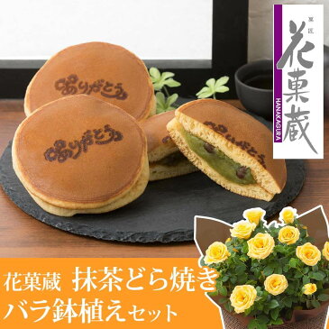 【父の日フラワーギフト】鉢植えセット「花菓蔵 抹茶どら焼き〜ありがとう焼印入り〜」