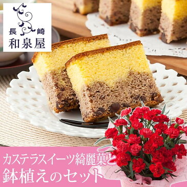 【母の日フラワーギフト】鉢植えセット「和泉屋 カステラスイーツ綺麗菓(きれか)」