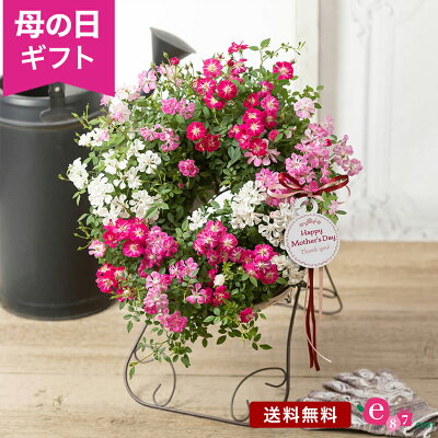 母の日 バラ 鉢植え リース プレゼント 花 「Welcome Rose」ミニバラ 四季咲き 華やか キュート 赤 白 ピンク ウエルカムリース イーゼル風 スタンド付き フラワー ギフト 感謝 20...