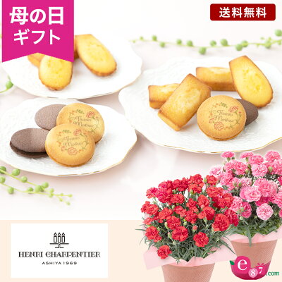 母の日 フラワー ギフト 洋菓子 スイーツ 詰め合わせ カーネーション 鉢植え セット「アンリ・シャルパンティエ ガトー・キュイ・アソート Sボックス」 5号 プレゼント 花 サプライズ 感謝 40代...