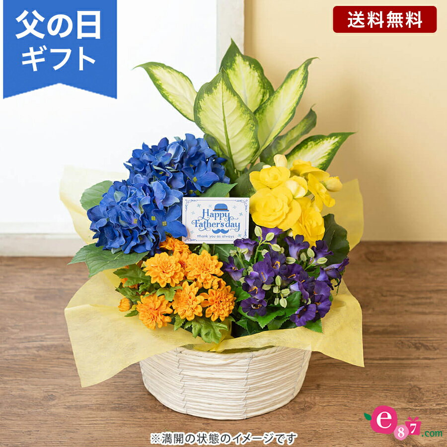 父の日 鉢植え 花 観葉植物 寄せ鉢 プレゼント ギフト 「Father’s バスケット」 ラッピング 父の日ピック付き ガーデニング アジサイ ブルーサルビア リーガスベゴニア マリーゴールド ディフェンバキア 寄せ植え風 庭 玄関 屋外 フラワー ギフト 鉢 鉢花 花鉢