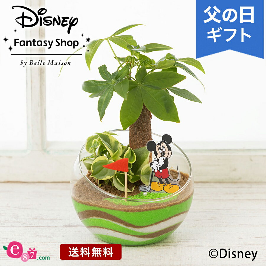 寄せ植え ディズニー/父の日 観葉植物 プレゼント ギフト 「ナイスショット！（ミッキーマウス）」 ギフト プレゼント ゴルフ 寄せ植え 手のひらサイズ かわいい 玄関 窓辺 リビング テーブル 室内 屋内 お父さん 実父 義父 祖父 フラワー ギフト 鉢 鉢花 花鉢