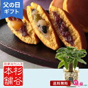 父の日 プレゼント ギフト 「杉谷本舗 どら焼き詰合せ」 観葉植物 セット パキラ 和菓子 スイーツ 栗 3種類 詰め合わせ おしゃれ インテリア 玄関 窓辺 リビング テーブル 室内 屋内 お父さん 実父 義父 祖父 フラワー ギフト 鉢 鉢花 花鉢 観葉植物 フラワーギフト 贈り物