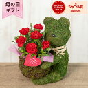 母の日 カーネーション 鉢植え 花 「SweetBear〜ForMother〜」 ラッピング ギフト プレゼント かわいい くま モス 庭 玄関 屋外 フラワー...